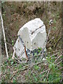 Old Milepost by the A35, Holmsley