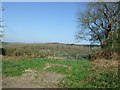 Field entrance off Forde Hall Lane