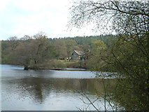 SK2670 : A lake above Chatsworth House by Malcolm Neal