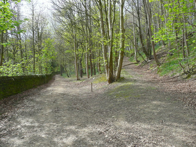 Junction of tracks in Freemans Wood, Southowram