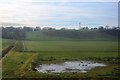 Pond by West Coast Main Line