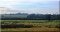 Rough grassland, Meece Brook