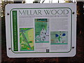 Display Board at Millar Wood near Potter