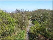 TQ4376 : Approach to Severndroog Castle from the north by Marathon