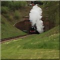 Flying Scotsman Emerging from Tunnel