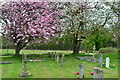 Spring blossom in the churchyard at Ropley