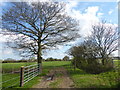 Path to Great Burstead