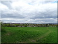 Fryent Country Park