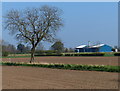 Farmland near Morton