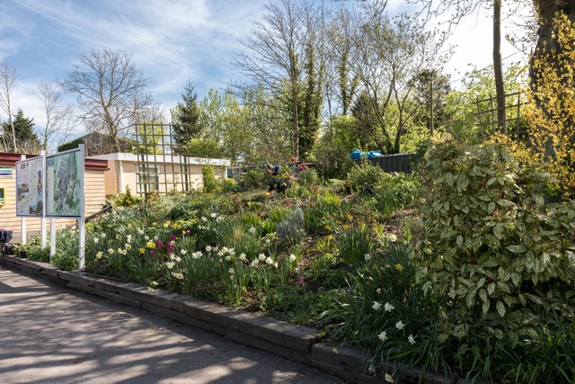 Garden at Tenterden Station, Kent
