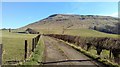 NS6089 : Farm track to Rashiehill by Euan Nelson