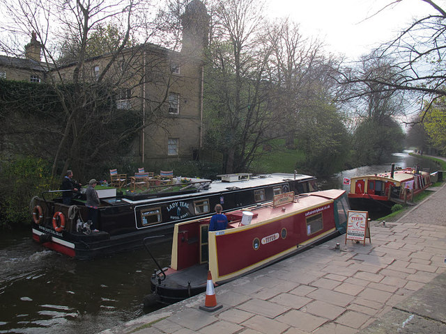 Lady Teal at Saltaire