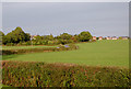 Farm land north of Stoke Golding, Leicestershire