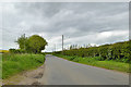 Road west from Winterborne Kingston