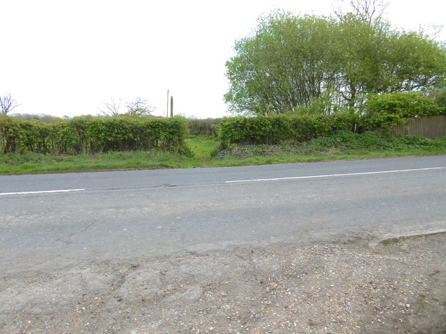 Bridleway crosses Stane Street from the west