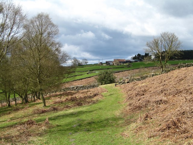 Path to Lower Row Mires