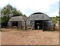 Corrugated-iron barns at Newcombe Farm