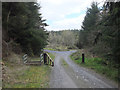 Forest tracks South East of Llyn Elsi Reservoir