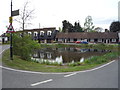 Pond, Mill Hill Village