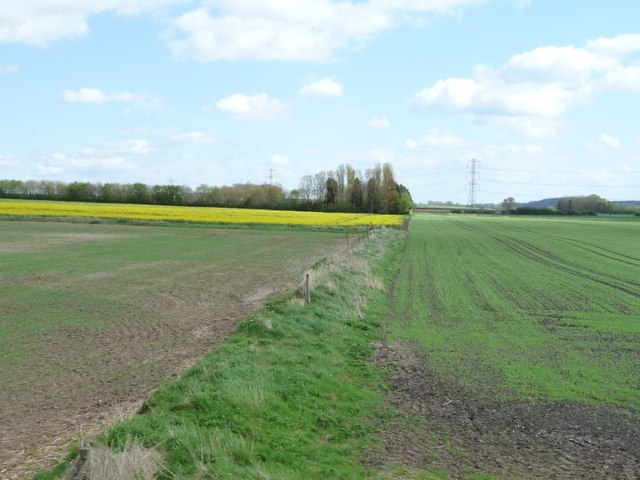 Field boundaries, Ruddington Moor