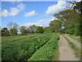 Inner Moor Lane