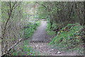 Bridle path up earth bank near Pen-y-Fan Pond Country Park