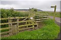 NU1331 : Path and dog gate by Richard Webb