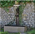 Hawkchurch: Village water pump