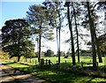 Entrance road to Greenwell Ford