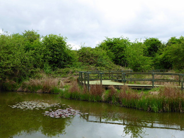 Sharp's Green Pond, Riverside Country Park