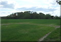 Crop field towards woodland, Potterells