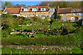 Cottages on Teapot Hill