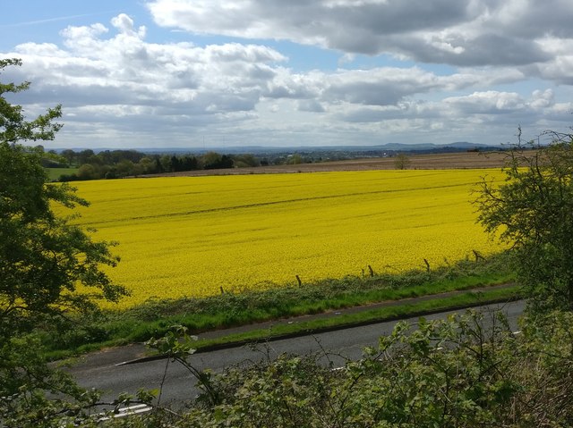 Farmland viewed from the A448 Bromsgrove Highway