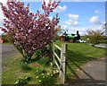 At the entrance to the Hodge Hill Garden Centre