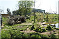 Babirusa (Babyrousa sp.) enclosure at Chester Zoo