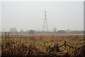 Pylon, Walthamstow Marshes