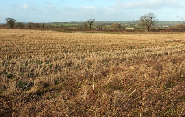 Stubble field by Weardley Lane