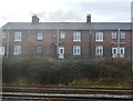 Terraced row, Norton Bridge