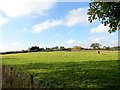 View across the fields to Wilk