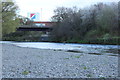 Angler in the Nith