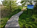 Boardwalk and entrance to the Aylestone Meadows