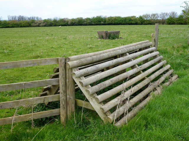 Wooden fence and sheep pasture east of Warkton