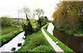 River, canal towpath & canal seen from Silverwoods Way, Kidderminster, Worcs