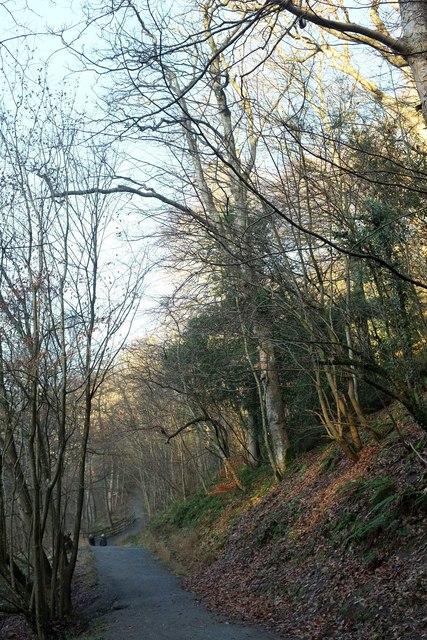 Path through Strid Wood