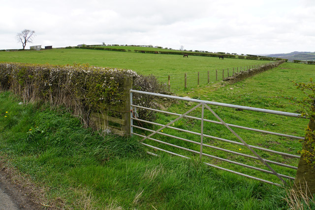 Field entrance on Mickley Moor