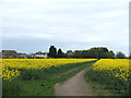 Path from Ruff Wood to Crosshall Brow