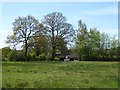 Trees and cottage on Broadmoor Common