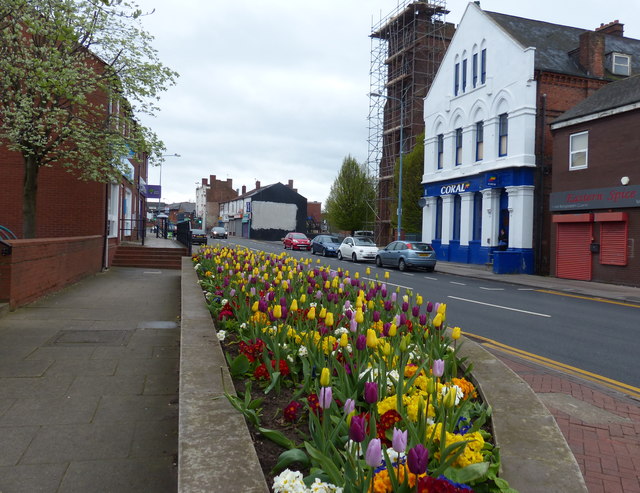 Flowers on Owen Street in Tipton