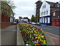 Flowers on Owen Street in Tipton