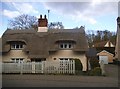 Thatched cottage on Braintree Road, Great Bardfield